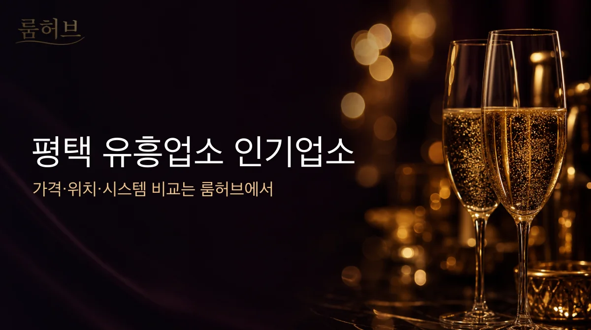 룸허브 평택 유흥업소 인기업소 안내 배너